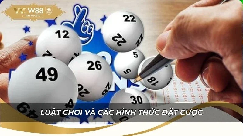 Hướng dẫn luật chơi và các hình thức đặt cược cập nhật mới nhất